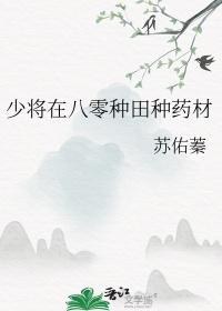 少将在八零种田种药材在线阅读