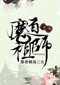 魔道祖师第一季