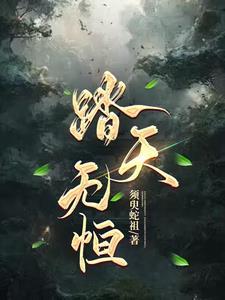 踏天无痕TXT